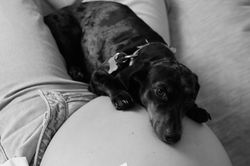 Maternity Shoot