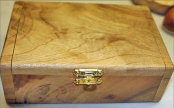 Hiffen Hinge Box RC.jpg
