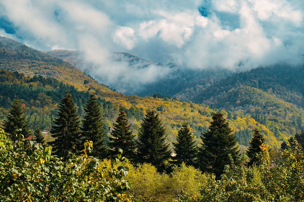 Specially Protected Nature Areas of Armenia