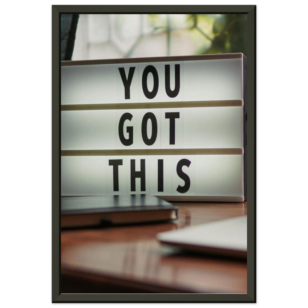 Love Joy Bestseller You Got This Premium Matte Metal Framed Poster