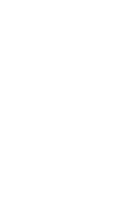 Professional doula providing antenatal and postnatal support in Cheshire”