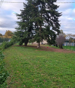 5079a1cb-1cbe-4d4a-b22e-a05713e6e819.jfif