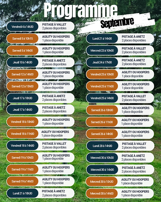 Programme_20260901_141538_0000.png