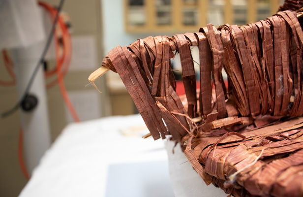 A3664_BT_broken beak_small_edited.jpg