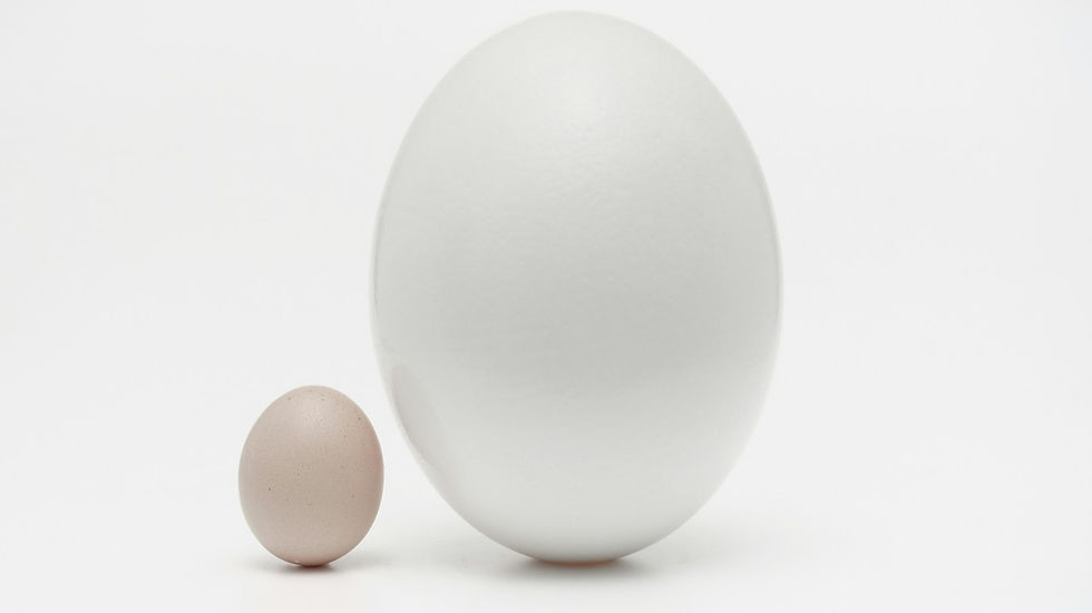 Does One Size Fit All in Feedback?