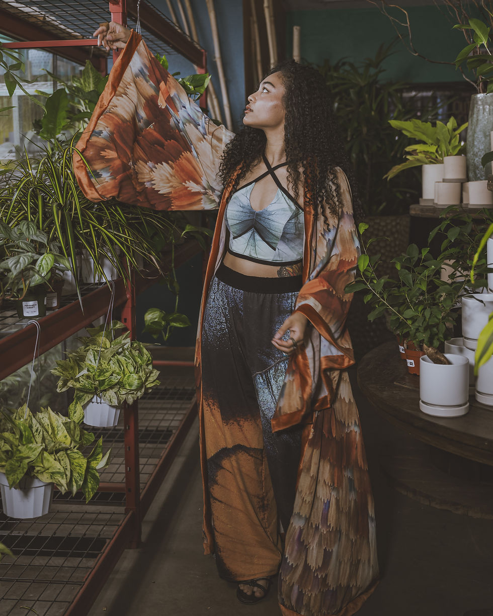 Butterfly Kimono tiger swallowtail