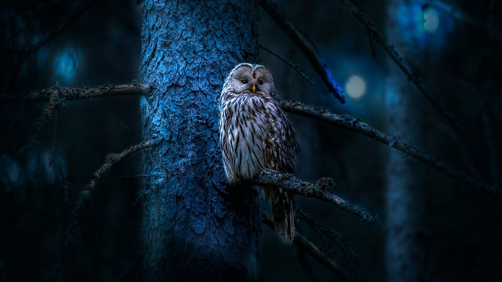 Focused and Empathetic Listening is the Essence of Leadership