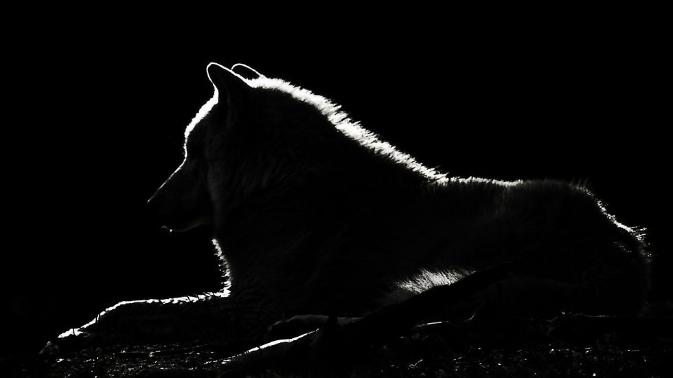 Leading beyond authority