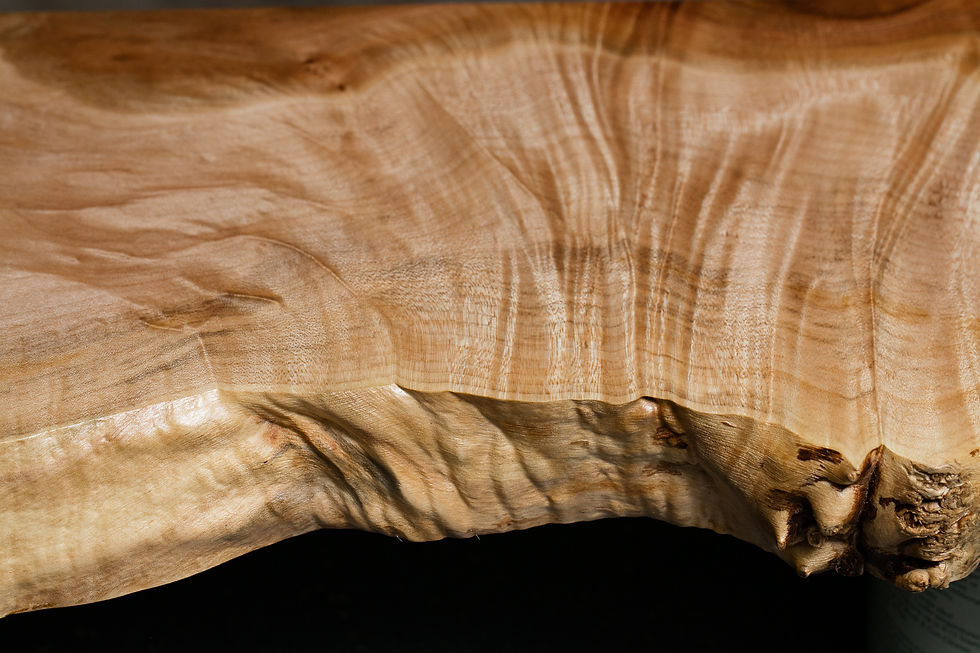 Maple