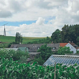 Today we visited Mandelmann's farm! When we bought the house, we started following their TV program. In fact, most of what we know today, both in terms of animal husbandry and cultivation, we have them to thank for. It was special to see the farm in real life. All the places - the greenhouses, the plantations, the pastures, etc. - were easily recognisable. However, the farm as a whole is smaller than you get the impression of in the program. We also had time to ask them some questions about how they go about keeping the pests away from the plants. Up early and out late to cut snails, was the answer. So, no miracle solution there. Ah, and then the car broke down. It made it through half the holiday before the radiator started to fail, or if it's the water pump. Either way it's leaking coolant. We hope it makes it home to Hallstavik, otherwise we have to send it in for repair in Malmö and take the train home. The lonely tree Yesterday we visited Ale's stones. An ancient relic of the type of shipwreck. At this point, we have both been there countless times. Ystad