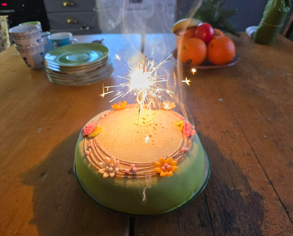 Födelsedag den 11 januri