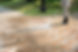driveway cleaning.jpg