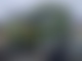 岡崎市井内八幡宮(三河井内城跡)