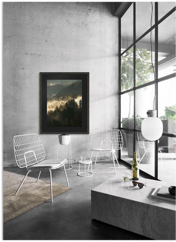 Forest & Mist | Frames Online