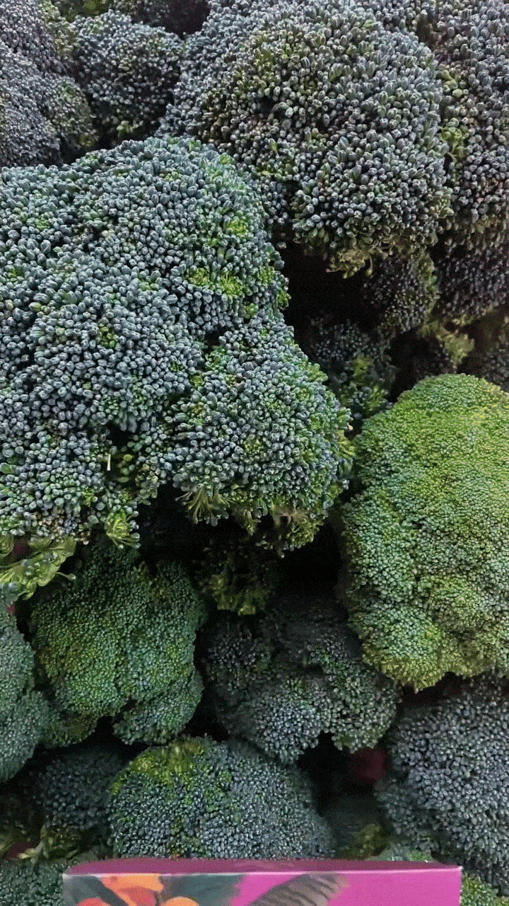 seed-envelope-007.gif