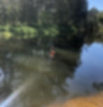 Subpod, Live Compost Worms, Fishing Worms, Worm Farms, Subpod, The Castle V2 Worm Farm