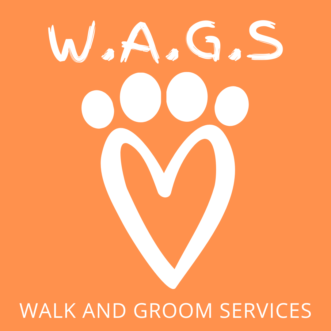 Wags and walk sale