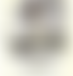 Samantha Saves The Day - Book Discussion