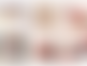 American Girl Stoney Clover Lane Collab