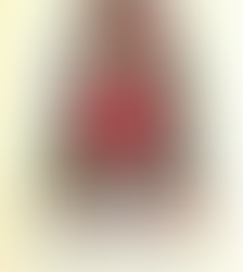 Samantha's Surprise - Book Discussion