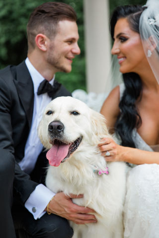 WeddingPuptials Gallery