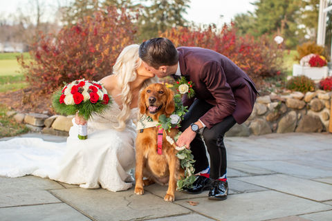 WeddingPuptials Gallery