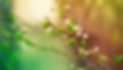 Renewal Health represents personalized functional medicine and wellness services.