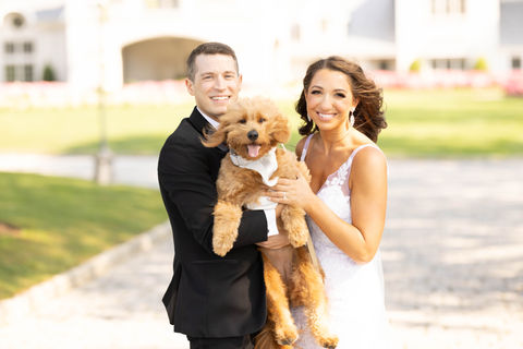 WeddingPuptials Gallery