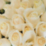 Thumbnail: White Roses - 50 Stems