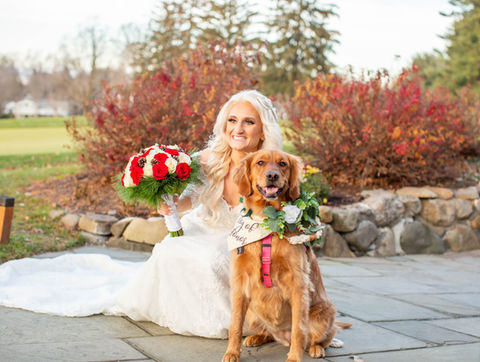 WeddingPuptials Gallery