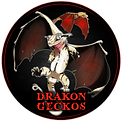 Motter Electric Client Drakon Geckos
