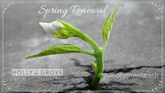Spring Renewal - 3 Easy Ways to Support Spring Season Renewal for your Liver