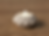 Miniature : Bougeoir Bubble