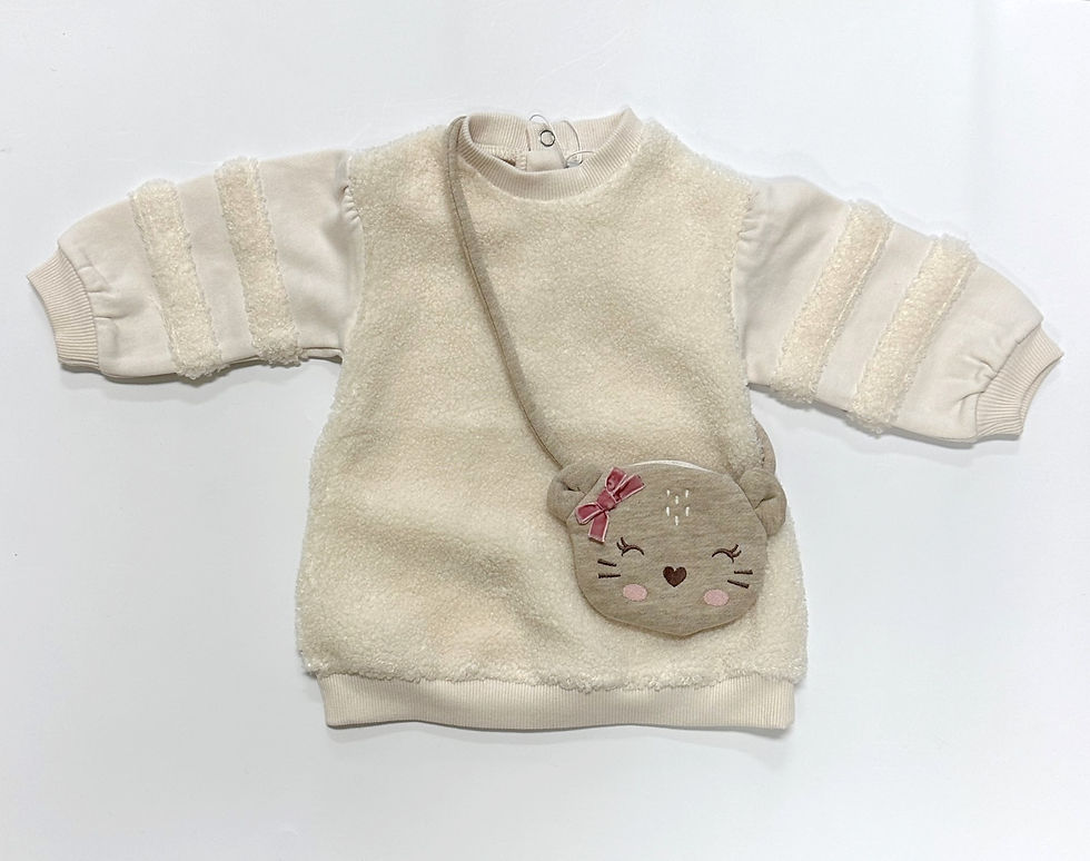 Dress w/ Kitty Purse