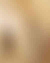 Mobility Acorn Stairlifts