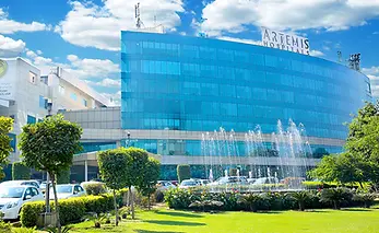 Artemis Hospital