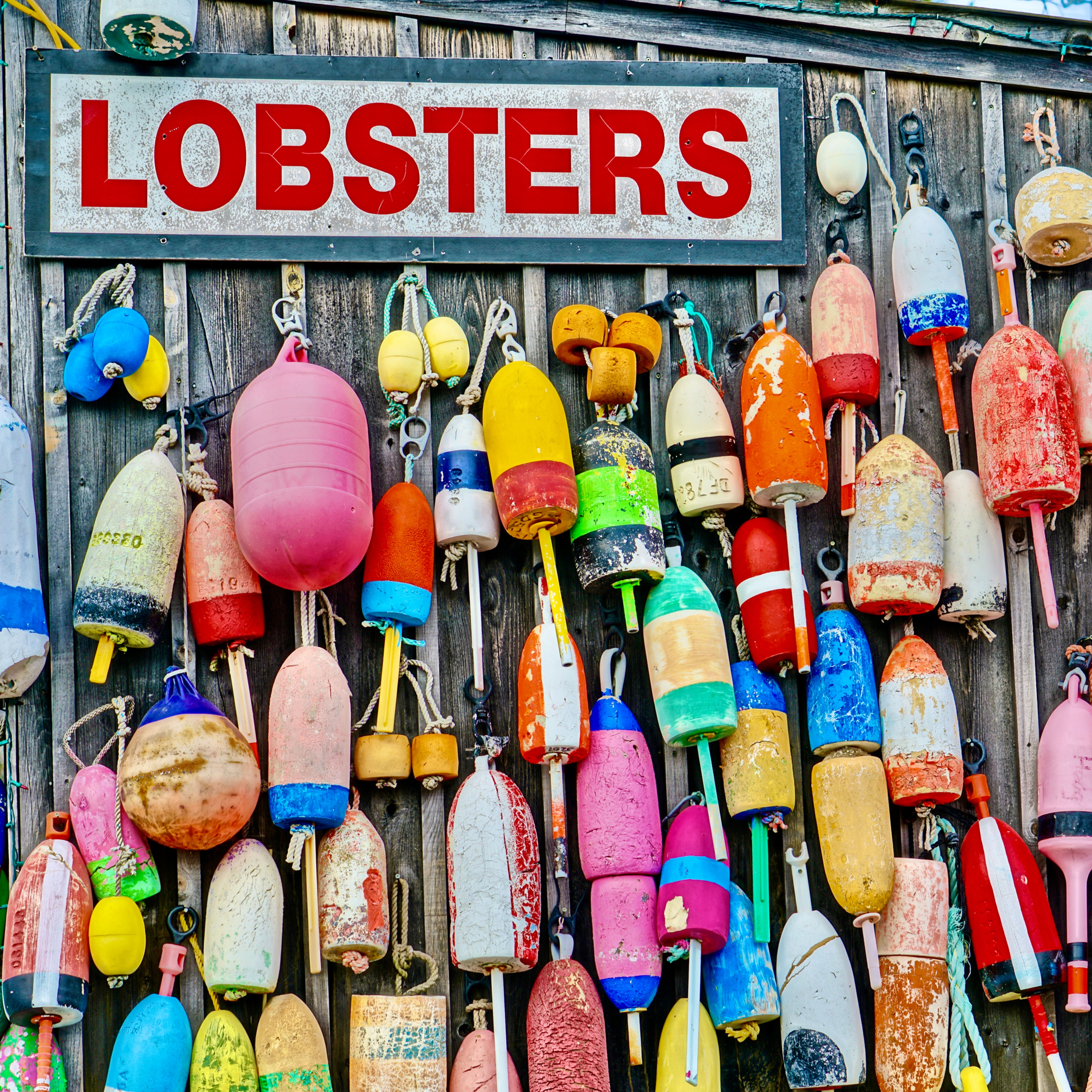 Lobsters