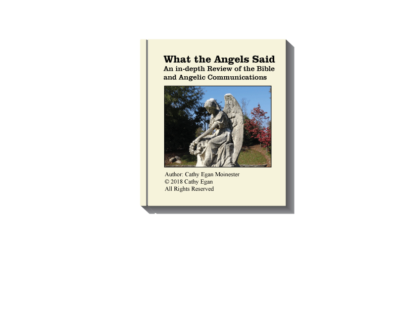 Final-Angel-Cover.gif
