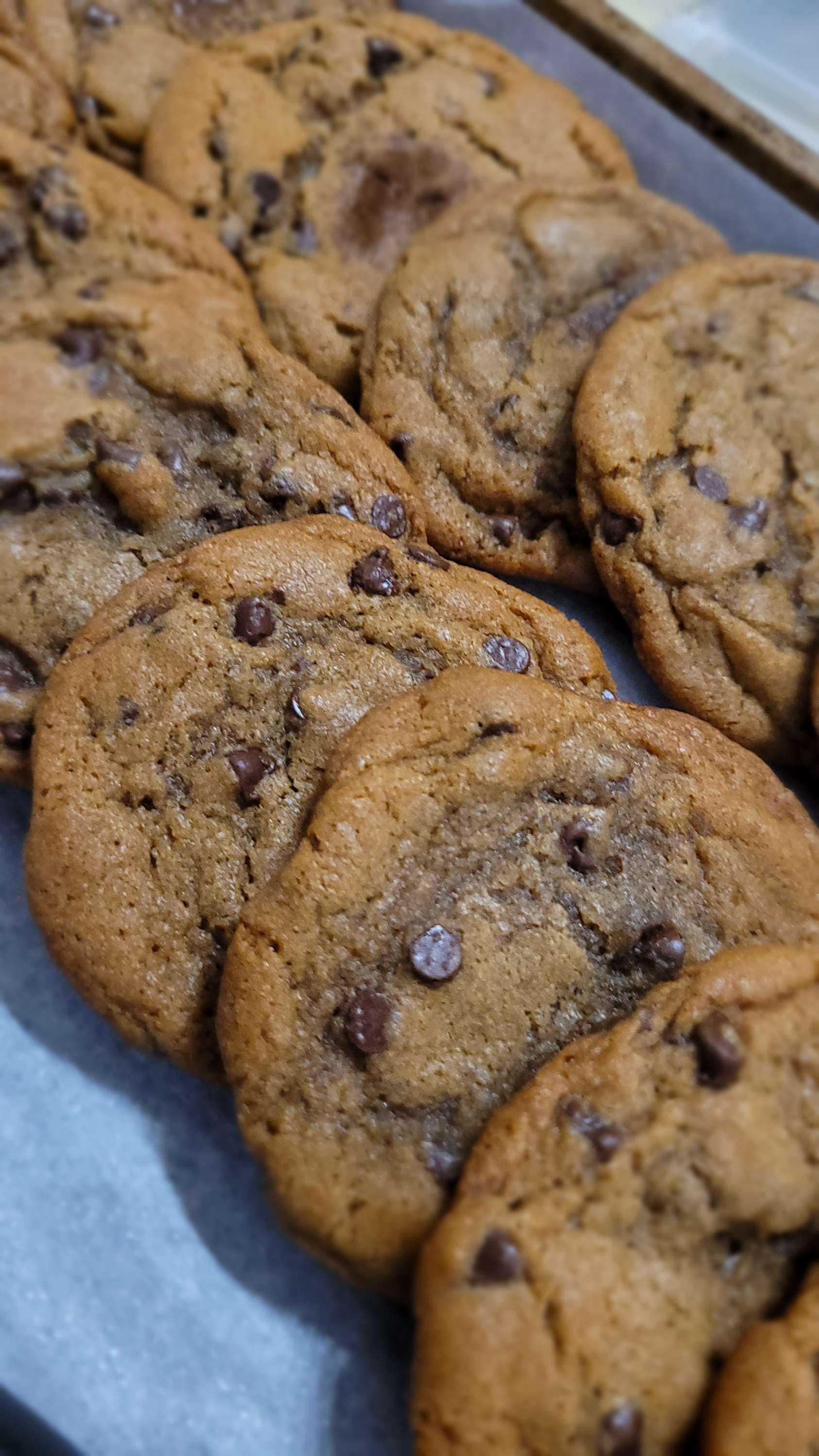 Espresso Chip Cookies (12)