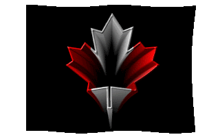 canada-flag-animated-gif-15.gif