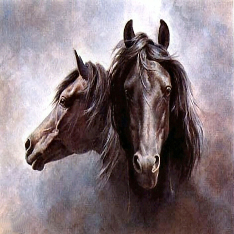 resized-horse-desktop-wallpaper-download-black-stallion-horse-wallpaper-in-hd.jpg