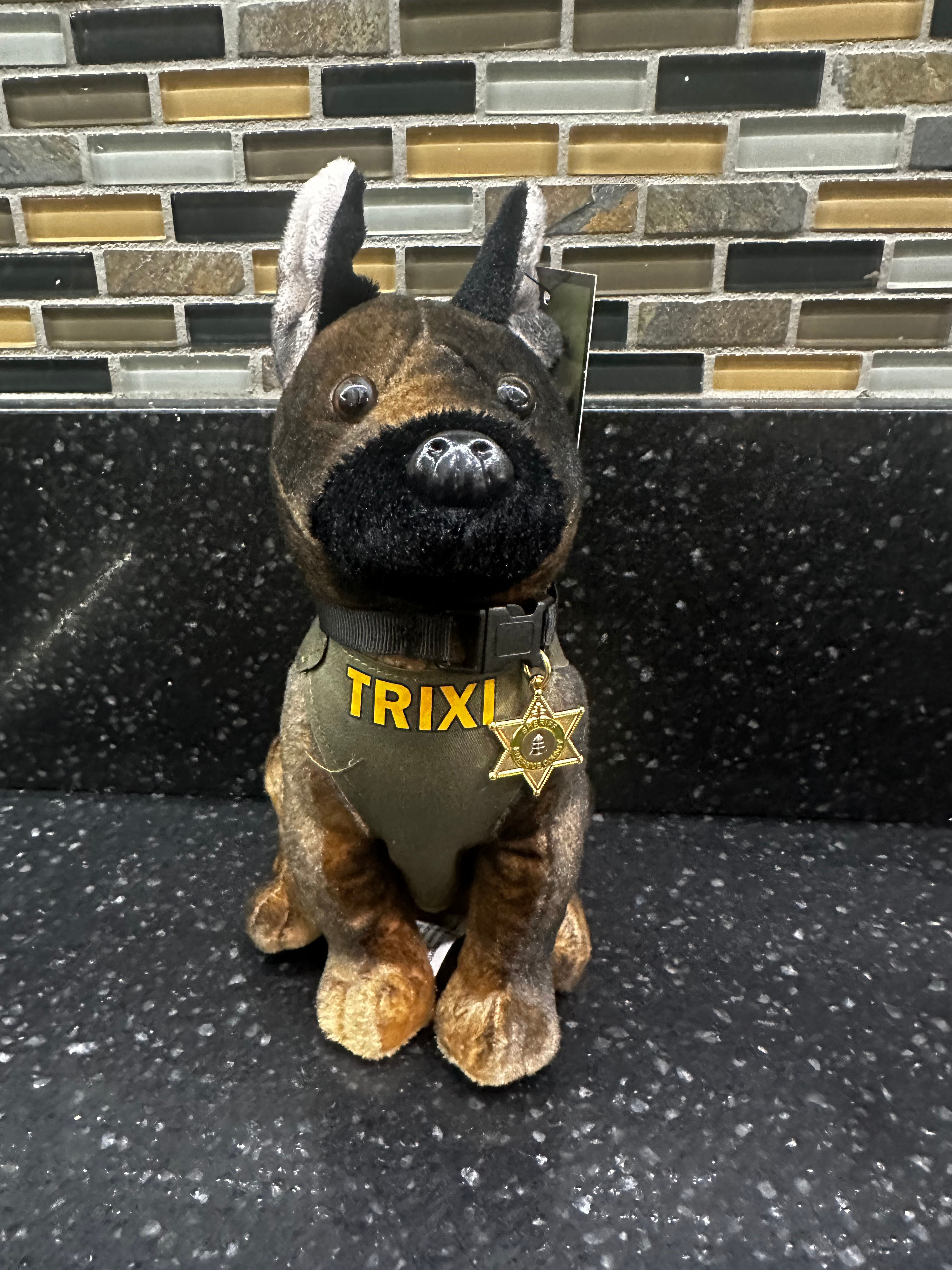 K9 Trixi