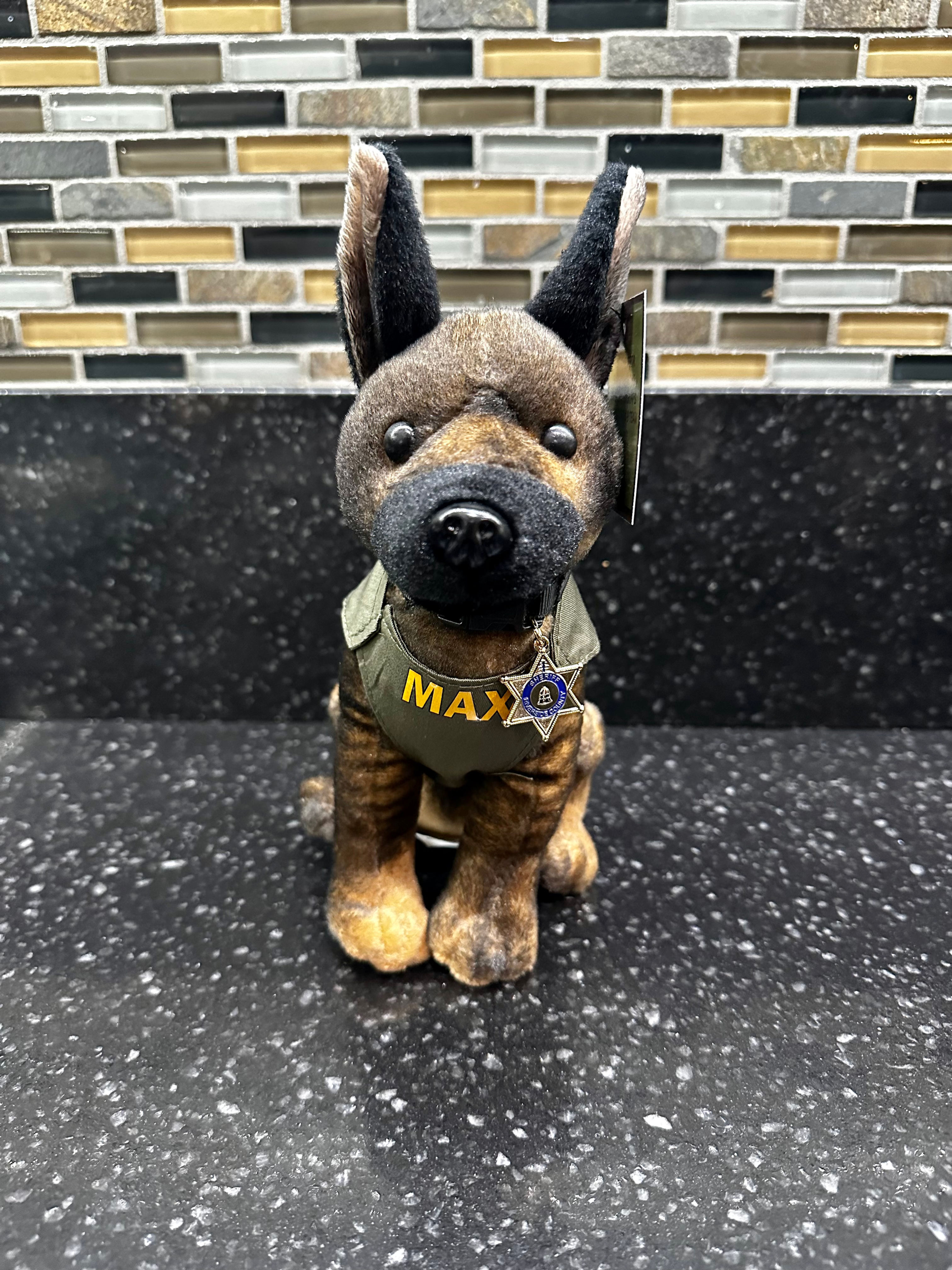 K9 Max