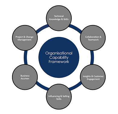 Organisational Capability Framework