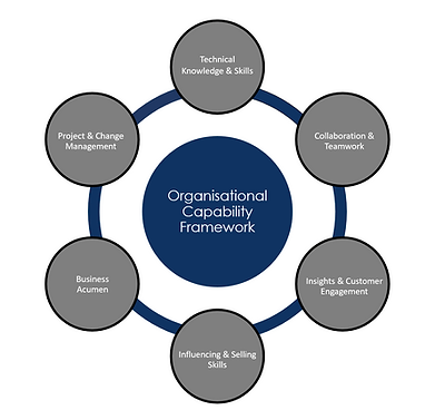 Organisational Capability Framework