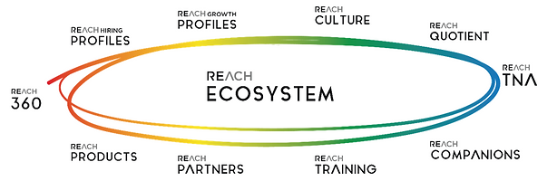REACH ECOSYSTEM (1).png