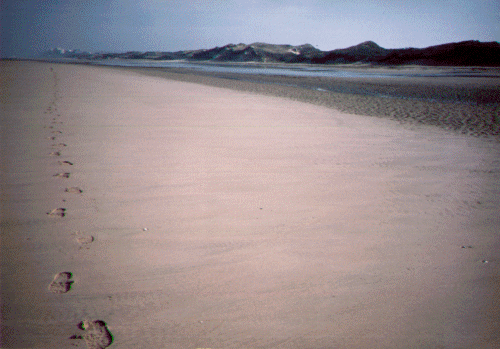 pasplage.gif