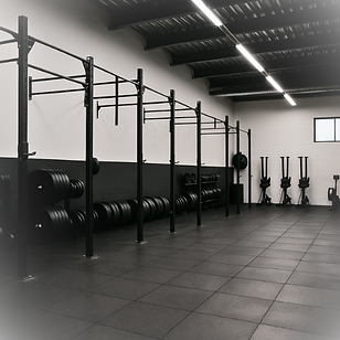 Untitled design (1).png