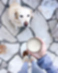 What Can I Drink During Intermittent Fasting?