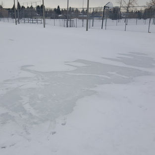 ice_04Feb2022.jpg